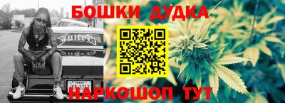PSILOCYBIN Гудермес