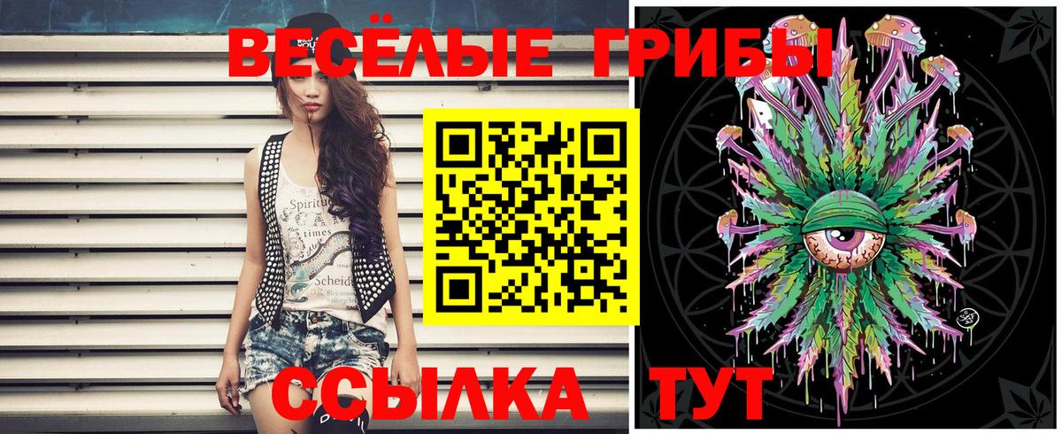 Галлюциногенные грибы GOLDEN TEACHER Владикавказ