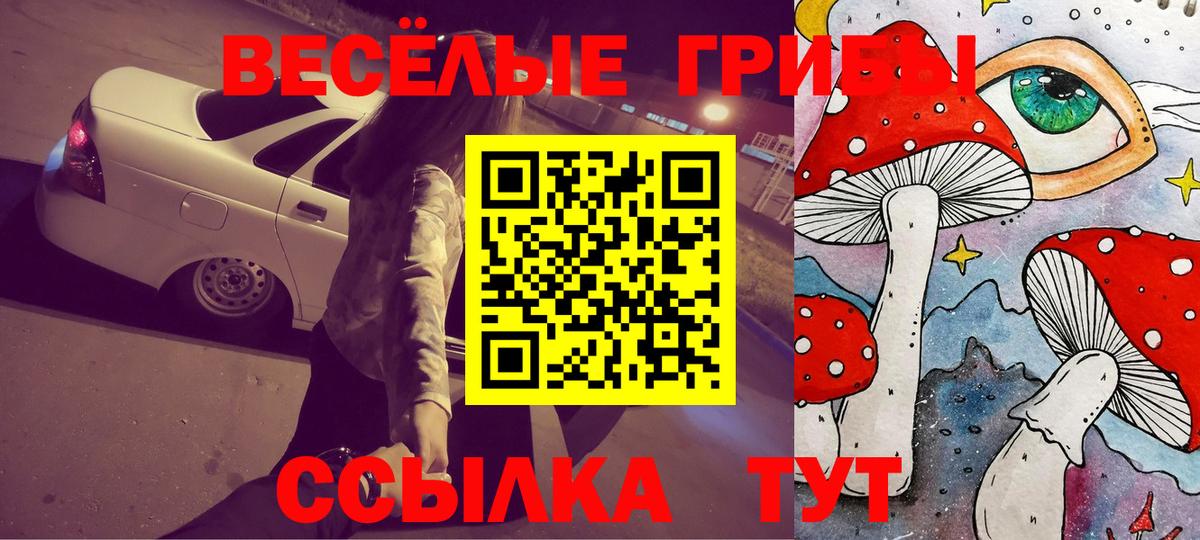 Галлюциногенные грибы GOLDEN TEACHER  Вход с VPN  Владикавказ 