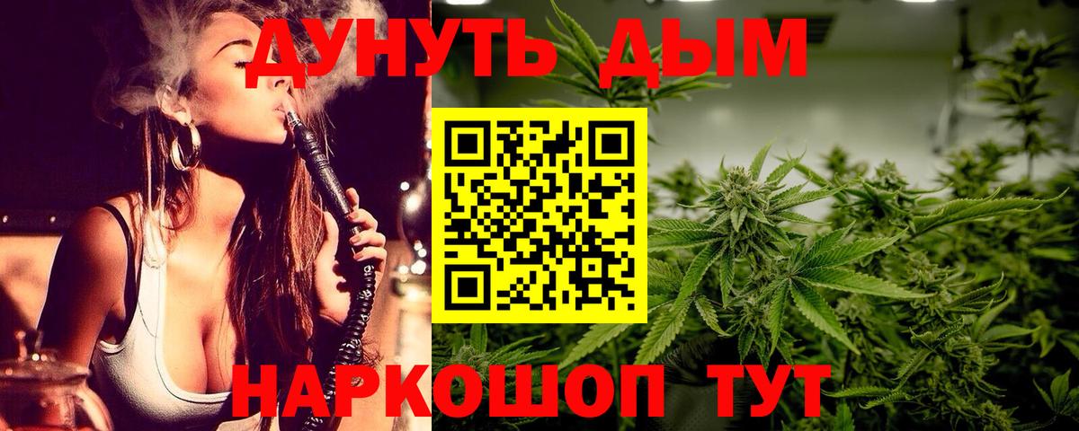 Шишки марихуана конопля  Вход с VPN  Марихуана планчик  Владикавказ  МАРИХУАНА сатива 